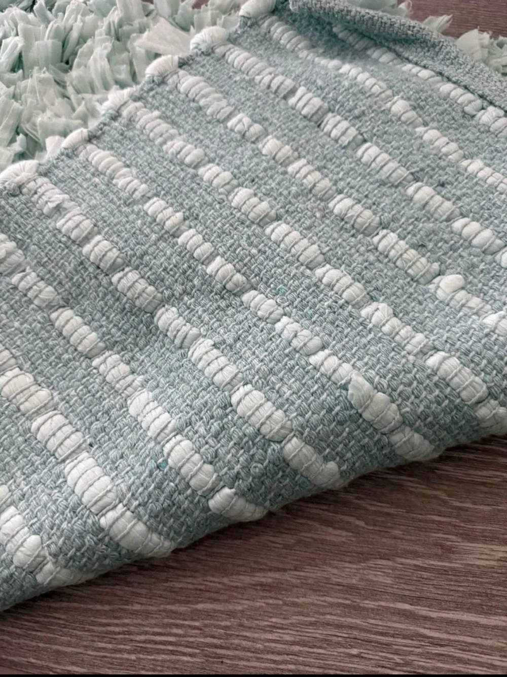 Safavieh Sky Blue Shag Door Mat - Plush Textured Style